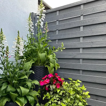 Dom wakacyjny Abrahama House Władysławowo