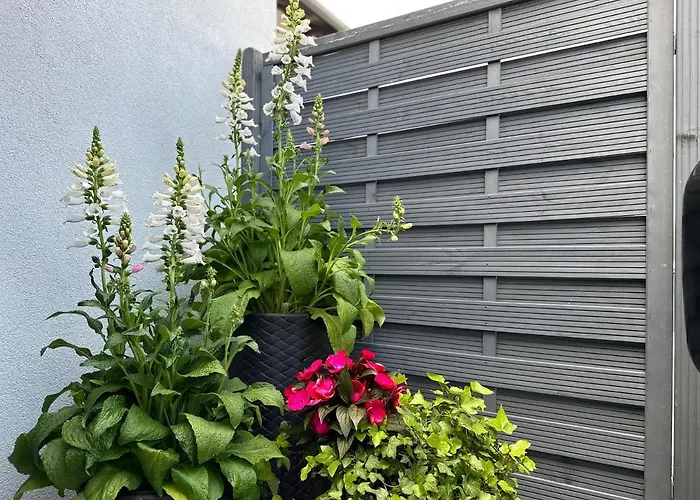 Дом отдыха Abrahama House Владыславово